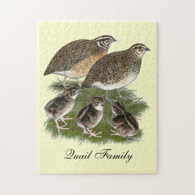 Puzzle Famille de cailles Coturnix (Vertical)