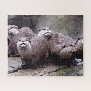 Puzzle Famille de Otters