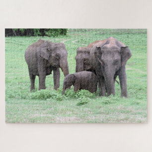 Puzzle famille d'éléphants Sri Lankais