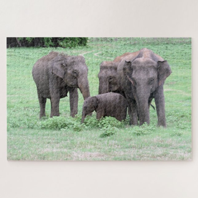 Puzzle famille d'éléphants Sri Lankais (Horizontal)