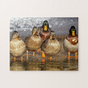 Puzzle Famille Duck