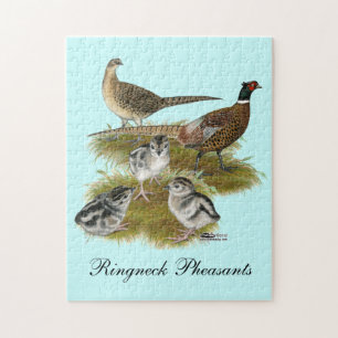 Puzzle Famille Pheasant Ringneck