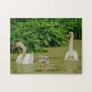 Puzzle Famille Swan