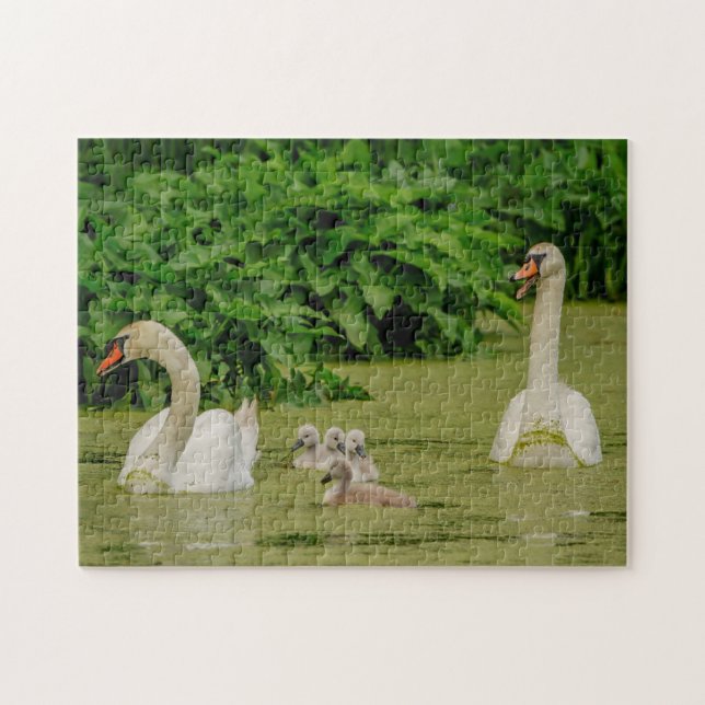 Puzzle Famille Swan (Horizontal)
