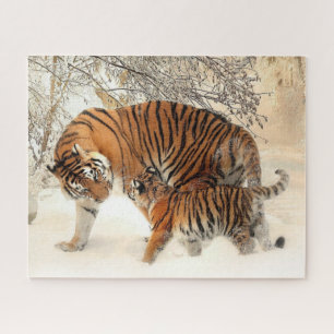Puzzle Famille Tiger dans le paysage hivernal Jigsaw Puzz