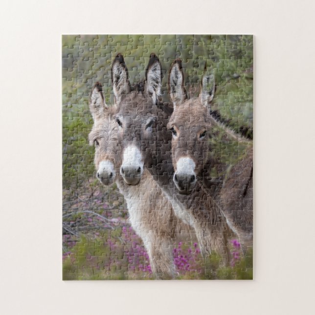Puzzle Famille Wild Burro (Vertical)