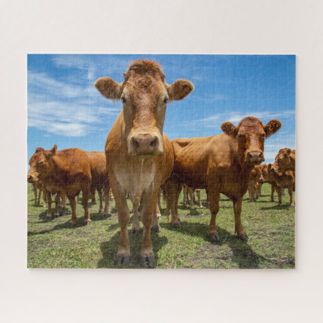 Puzzle Farms | Brown Cow Group (Horizontal)