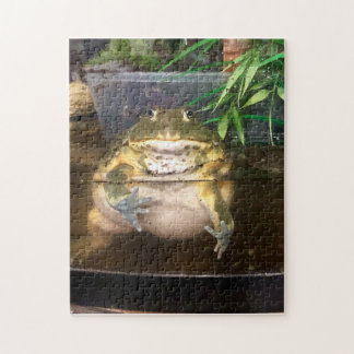 Puzzle Fat Toad Todd
