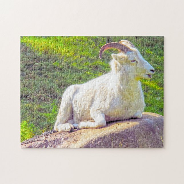Puzzle Faune du Canada. Mouflons d'Amérique. (Horizontal)