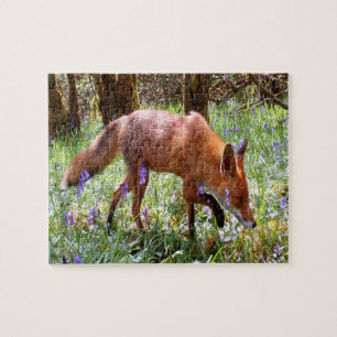 Puzzle Faune forestière Renard roux Jacinthe des bois Fle