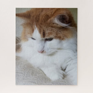 Puzzle (Feline Fancy) Contemplation Kitty : Photo Cat