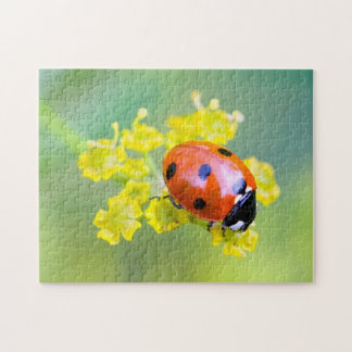 Puzzle femme au sommet