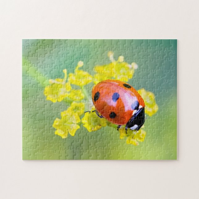 Puzzle femme au sommet (Horizontal)