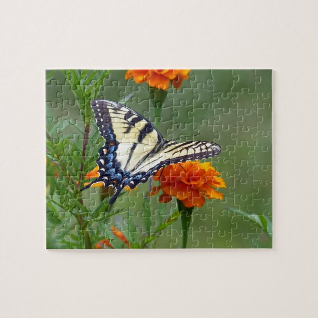 Puzzle Femme jaune Tigre de l'Est Swallowtail Jigsaw Puz (Horizontal)