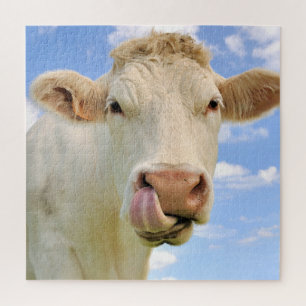 Puzzle Ferme Charolais Charolais Vache Licking Nse