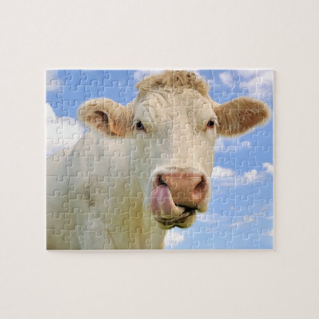 Puzzle Ferme Charolais Charolais Vache Licking Nse (Horizontal)