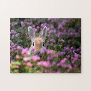 Puzzle Ferme de lapins
