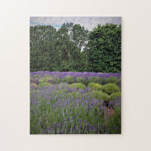 Puzzle Ferme de Lavender