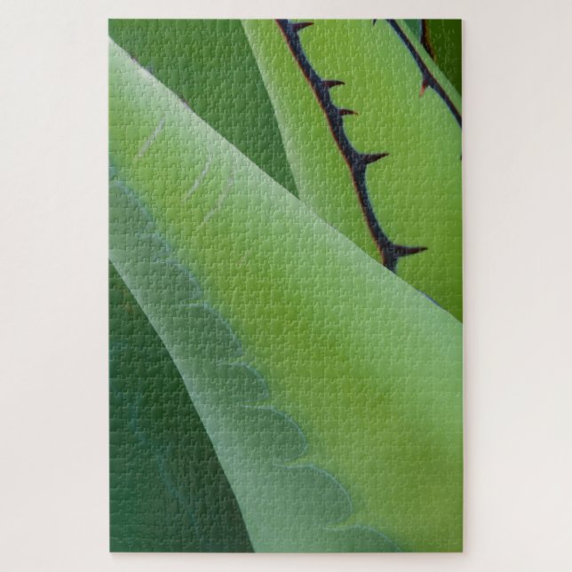 Puzzle Fermer l'agave (Vertical)