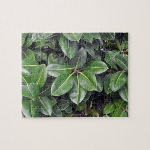 Puzzle Fermeture de l'arbre en caoutchouc