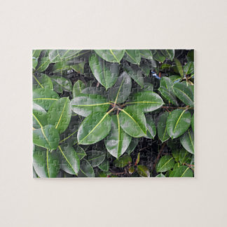 Puzzle Fermeture de l'arbre en caoutchouc