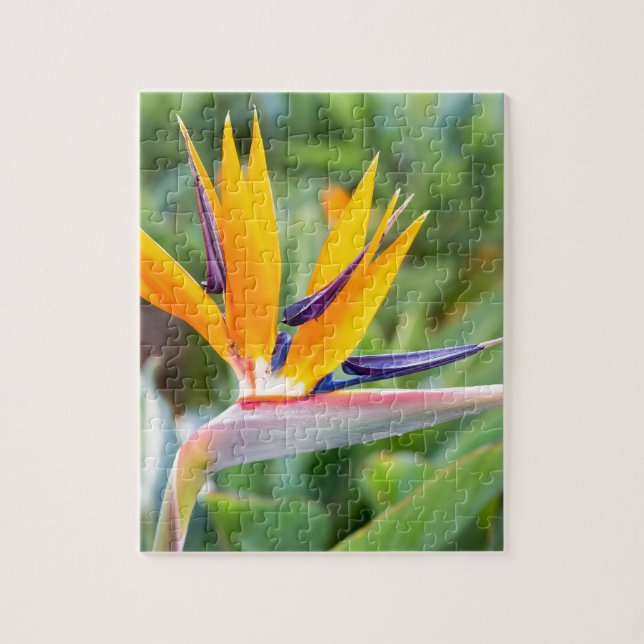 Puzzle Fermez-vous vers le haut de la fleur de grue ou du (Vertical)