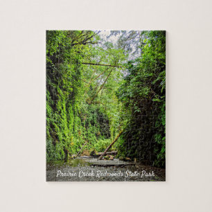 Puzzle Fern Canyon Green Walls dans le parc national Redw