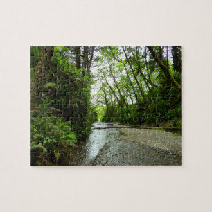 Puzzle Fern Canyon II au Parc national de Redwood