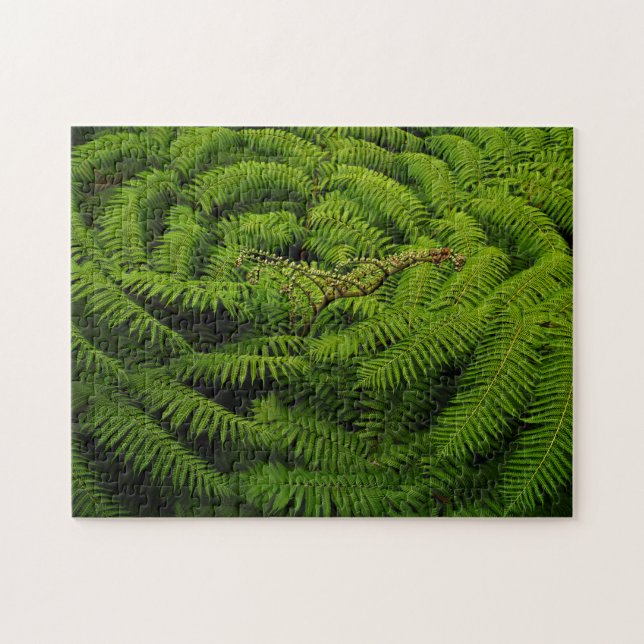 Puzzle Fern Feuille (Horizontal)