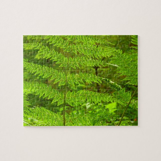 Puzzle Fern Fronds III Nature verte Botanique (Horizontal)