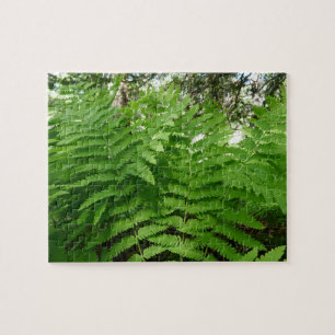 Puzzle Fern Fronds IV Nature verte Botanique