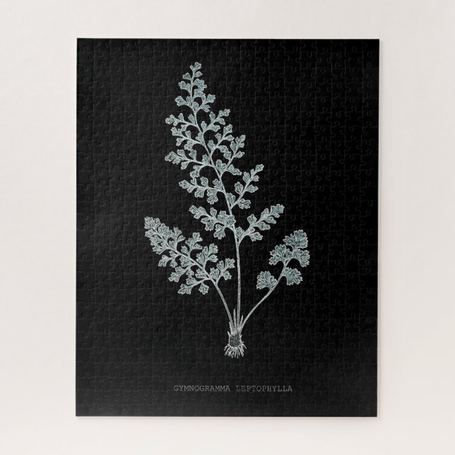 Puzzle Fern - Gymnogramma Leptophylla - Effet de rayons X (Vertical)