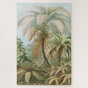 Puzzle Ferns, Filicinae Laubfarne par Ernst Haeckel