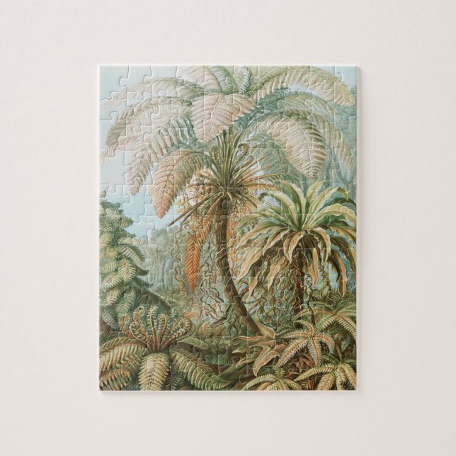 Puzzle Ferns, Filicinae Laubfarne par Ernst Haeckel (Vertical)