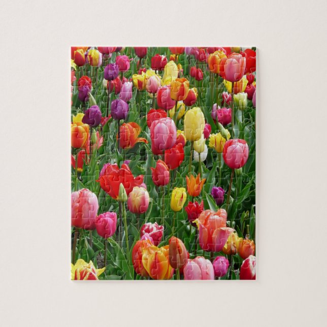 Puzzle Festival de Tulip (Vertical)