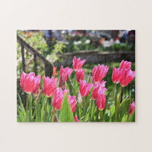 Puzzle Festival Tulip Fleur Nature Photographie Jardin