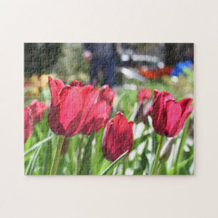 Puzzle Festival Tulip Fleur Nature Photographie Jardin