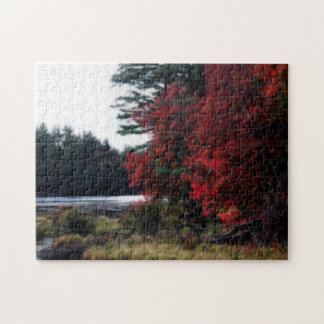 Puzzle Feuillage Automne Par Marécage Nature Orton Effet