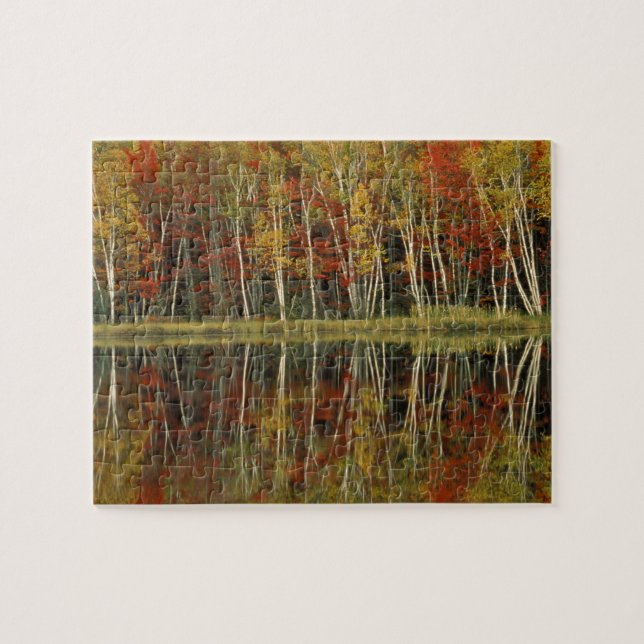 Puzzle Feuillage d'automne et reflets de bouleau ; Hiawat (Horizontal)