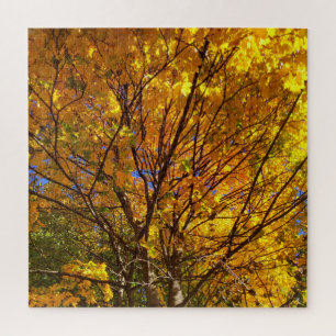 Puzzle Feuillage de automne jaune