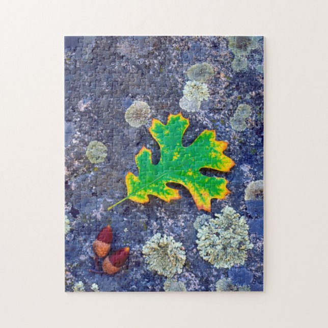 Puzzle Feuille de chêne et glands sur une roche couverte  (Vertical)