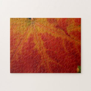 Puzzle Feuille de Érable Rouge Photographie de Nature Abs