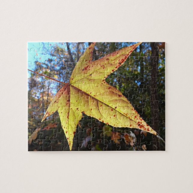 Puzzle Feuille de Liquidambar Glowing dans la Forêt (Horizontal)