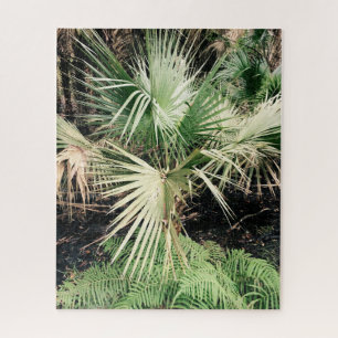 Puzzle Feuille de Palm Tree amusant