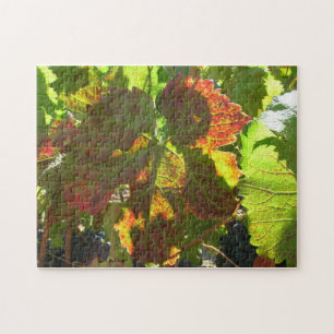 Puzzle - Feuille de raisin rouge sur la vigne