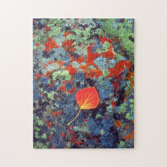 Puzzle Feuille de tremble sur une roche couverte de liche (Vertical)