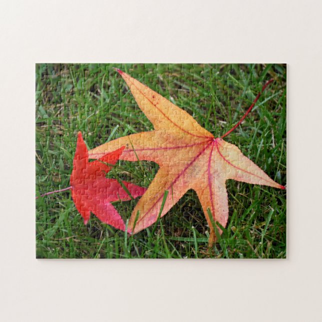 Puzzle Feuille d'érable aux couleurs vives (Horizontal)