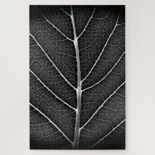 Puzzle Feuille lumineuse noir et blanc en gros plan
