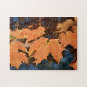 Puzzle Feuilles Automne