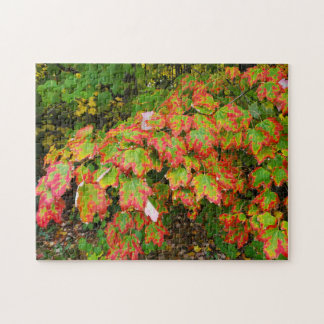 Puzzle Feuilles d'automne